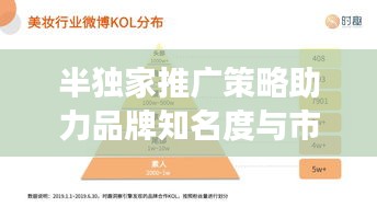半独家推广策略助力品牌知名度与市场份额飙升！