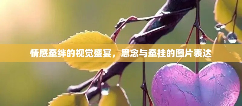 情感牵绊的视觉盛宴，思念与牵挂的图片表达