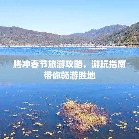 鸟入樊笼