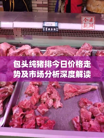 包头纯猪排今日价格走势及市场分析深度解读