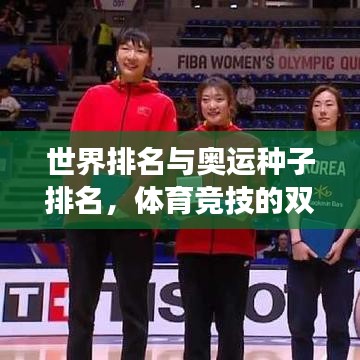 世界排名与奥运种子排名，体育竞技的双重衡量标准解读