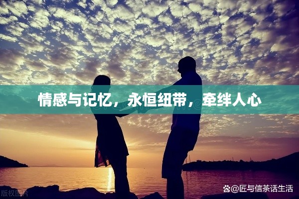 情感与记忆，永恒纽带，牵绊人心