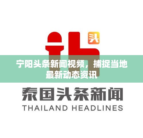 宁阳头条新闻视频，捕捉当地最新动态资讯