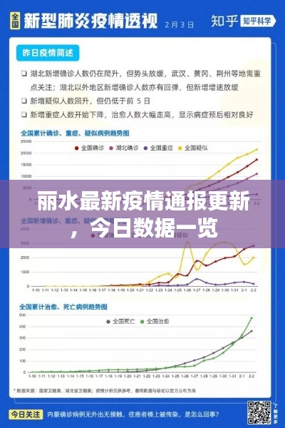 丽水最新疫情通报更新，今日数据一览