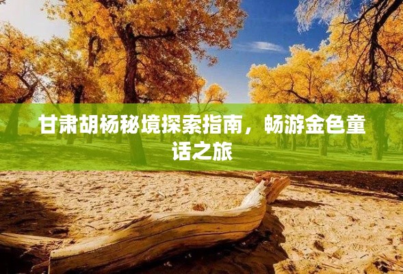 甘肃胡杨秘境探索指南，畅游金色童话之旅