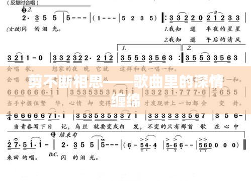剪不断相思——歌曲里的深情缠绵