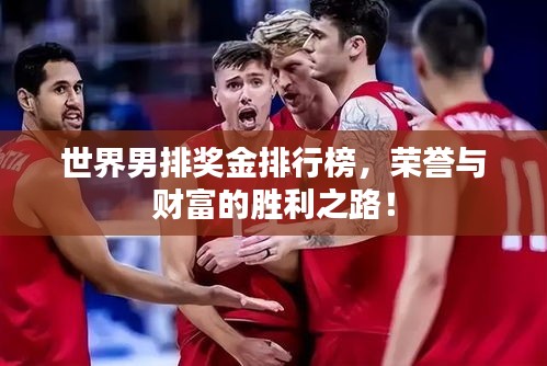世界男排奖金排行榜，荣誉与财富的胜利之路！
