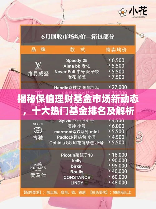 揭秘保值理财基金市场新动态，十大热门基金排名及解析