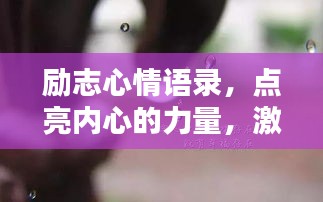 励志心情语录，点亮内心的力量，激发无限潜能！