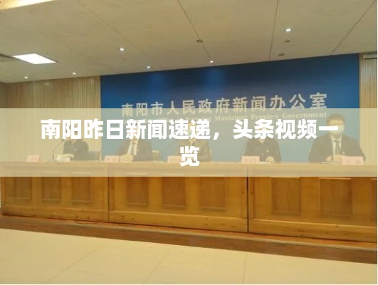 南阳昨日新闻速递，头条视频一览
