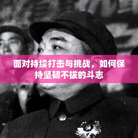 面对持续打击与挑战，如何保持坚韧不拔的斗志