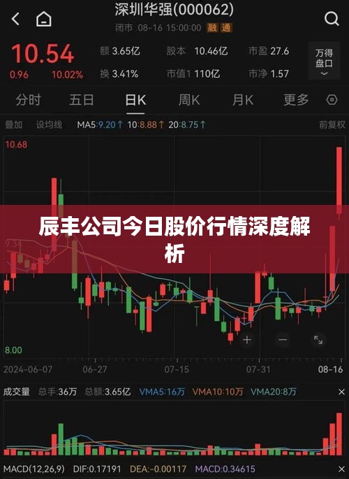 辰丰公司今日股价行情深度解析