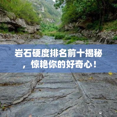 鸟哭猿啼 第2页