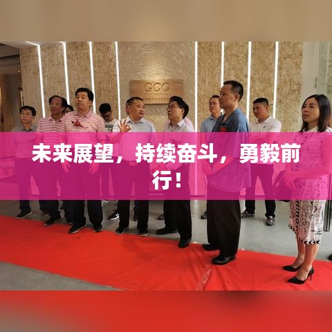 未来展望，持续奋斗，勇毅前行！