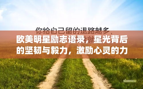 欧美明星励志语录，星光背后的坚韧与毅力，激励心灵的力量！