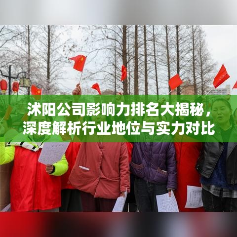 沭阳公司影响力排名大揭秘，深度解析行业地位与实力对比
