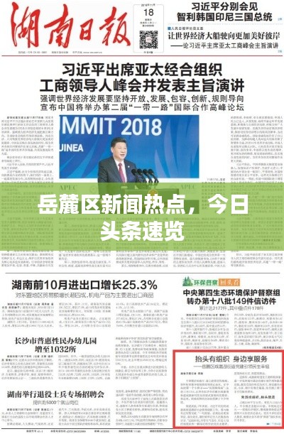 岳麓区新闻热点，今日头条速览