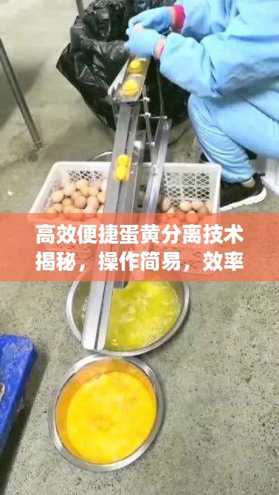 目不转睛 第2页