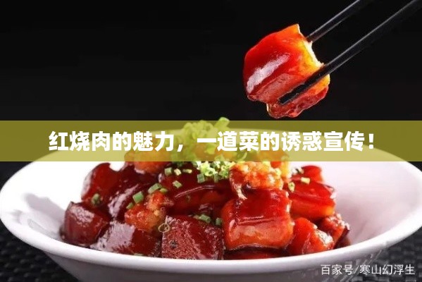 红烧肉的魅力，一道菜的诱惑宣传！