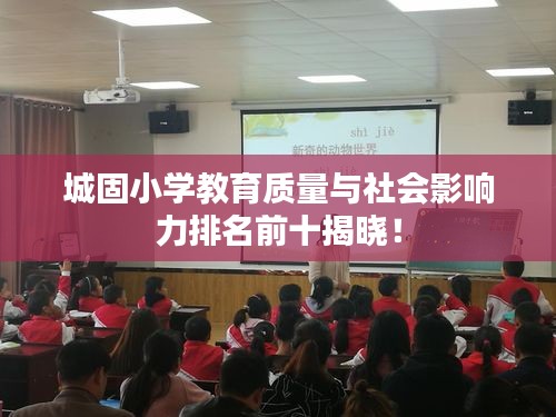 城固小学教育质量与社会影响力排名前十揭晓！