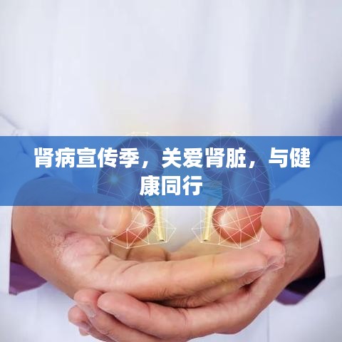 肾病宣传季，关爱肾脏，与健康同行