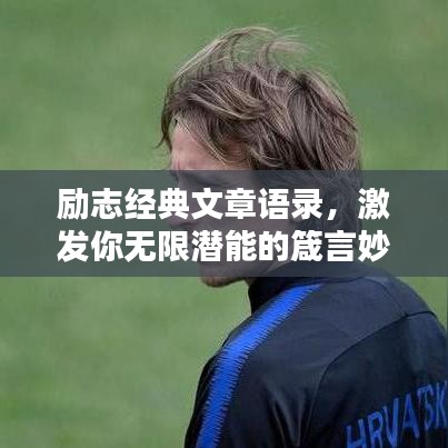 励志经典文章语录，激发你无限潜能的箴言妙语