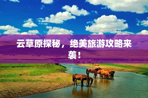 云草原探秘，绝美旅游攻略来袭！