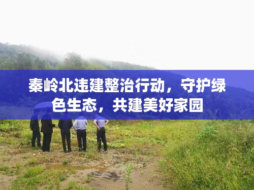 秦岭北违建整治行动，守护绿色生态，共建美好家园