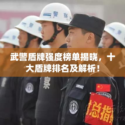 武警盾牌强度榜单揭晓，十大盾牌排名及解析！