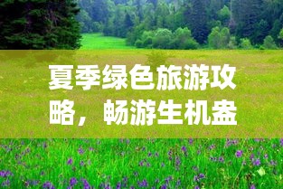 夏季绿色旅游攻略，畅游生机盎然的季节