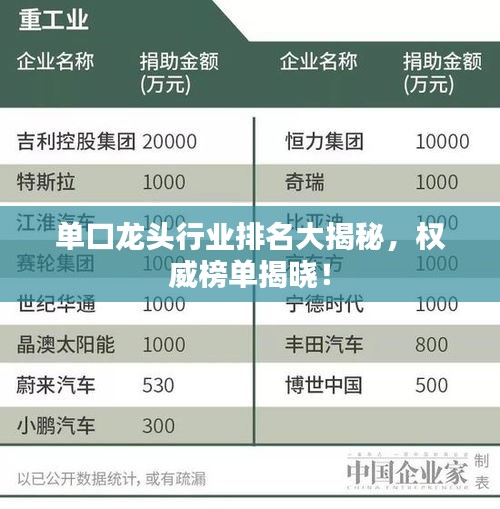 单口龙头行业排名大揭秘，权威榜单揭晓！
