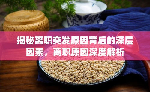揭秘离职突发原因背后的深层因素，离职原因深度解析