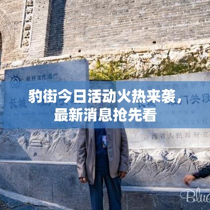 豹街今日活动火热来袭，最新消息抢先看