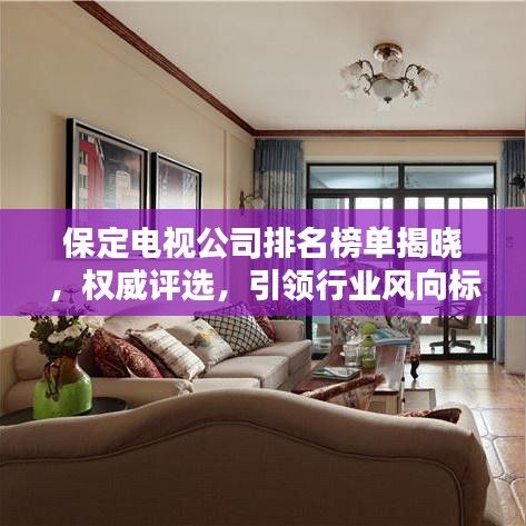 保定电视公司排名榜单揭晓，权威评选，引领行业风向标