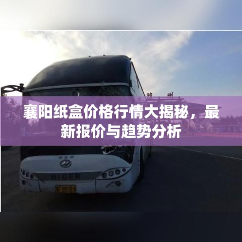 襄阳纸盒价格行情大揭秘，最新报价与趋势分析