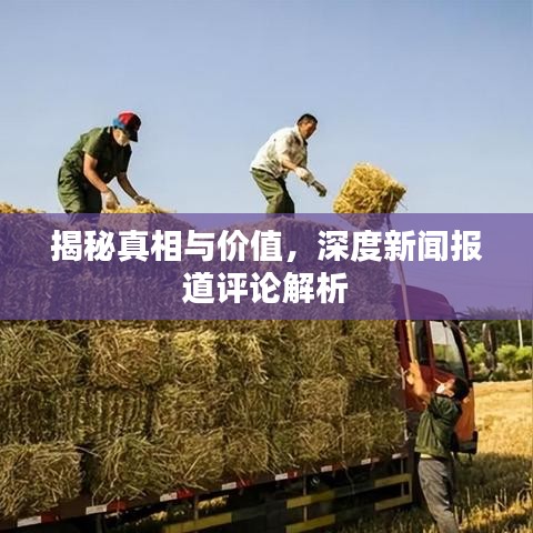 揭秘真相与价值，深度新闻报道评论解析