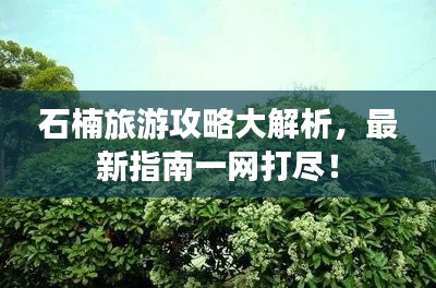 石楠旅游攻略大解析，最新指南一网打尽！