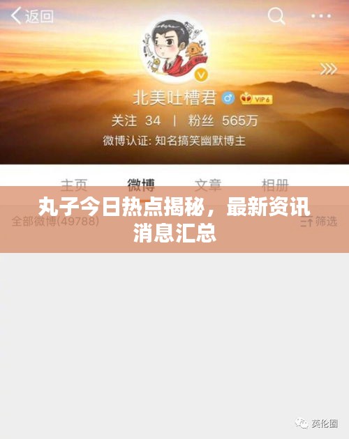 丸子今日热点揭秘，最新资讯消息汇总