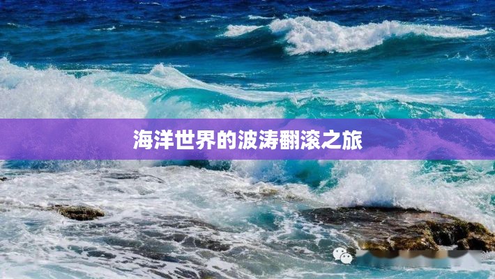 海洋世界的波涛翻滚之旅
