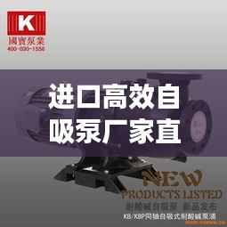 进口高效自吸泵厂家直销，卓越品质，至上服务，值得信赖！