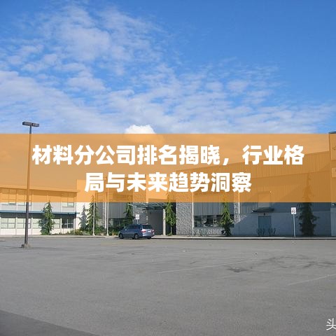 材料分公司排名揭晓，行业格局与未来趋势洞察