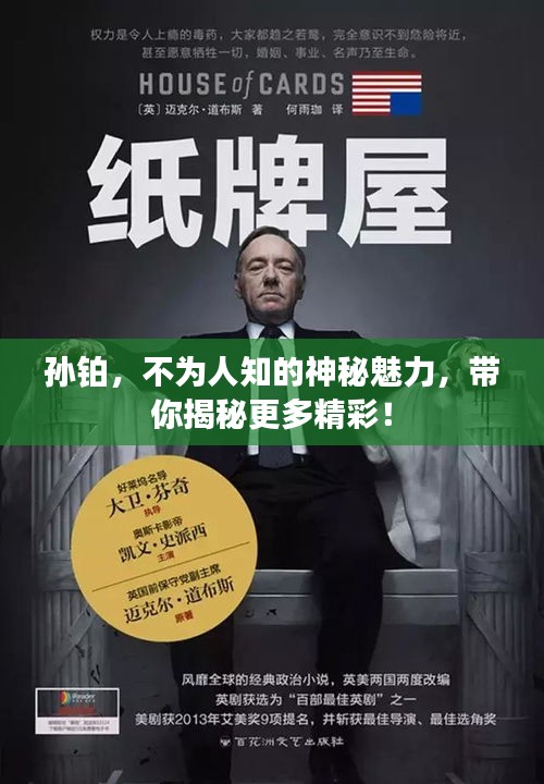 孙铂，不为人知的神秘魅力，带你揭秘更多精彩！