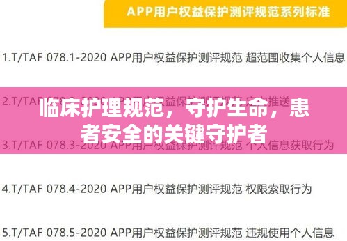 临床护理规范，守护生命，患者安全的关键守护者