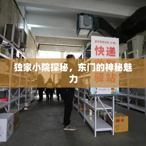 独家小院探秘，东门的神秘魅力