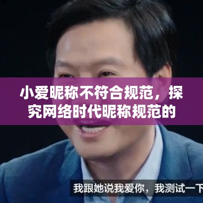 小爱昵称不符合规范，探究网络时代昵称规范的适应与理解