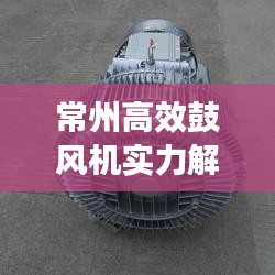 常州高效鼓风机实力解析，哪家企业更专业？