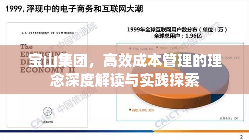 宝山集团，高效成本管理的理念深度解读与实践探索