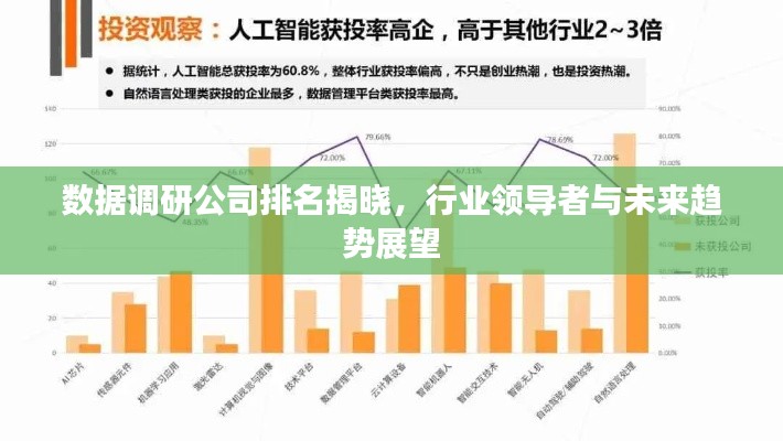 数据调研公司排名揭晓，行业领导者与未来趋势展望