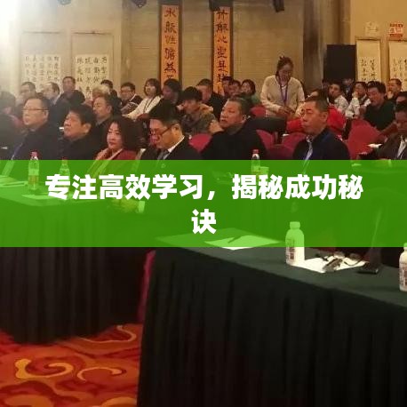 专注高效学习，揭秘成功秘诀