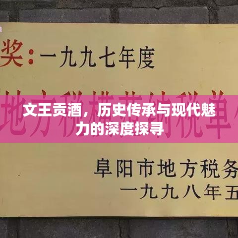 文王贡酒，历史传承与现代魅力的深度探寻